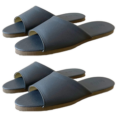 TAIWAN SLIPPER 台灣犀利趴 純色 皮質室內拖鞋, 湛藍色, 2雙