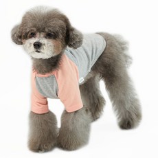 럭키페터 강아지 나그랑 티셔츠, 그레이 + 피치, 1개