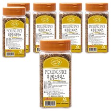 내츄럴스파이스 피클링 스파이스 향신료, 200g, 6개
