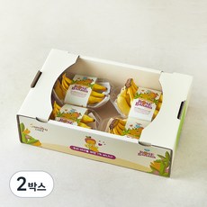 스미후루 네이처스초이스 로즈바나나 8p 4입, 1.4kg, 2박스