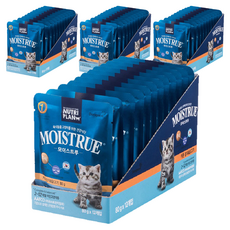 동원뉴트리플랜 고양이 키튼 모이스트루 주식파우치 12p, 생선, 960g, 4개