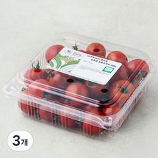 흙살림 친환경 인증 방울토마토, 600g, 3개