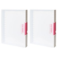 HICKIES A4 半透明文件盒 大型 FC03, 混合顏色, 2個