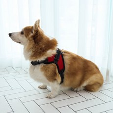 딩동펫 강아지 메쉬 기본형 하네스, 레드, 1개