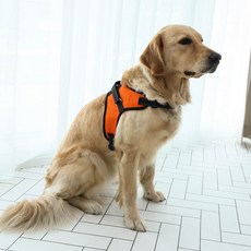 DING DONG PET 狗狗網眼基本款胸背帶, 橘色