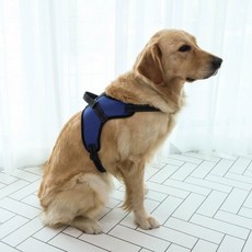 DING DONG PET 狗狗網眼基本款胸背帶, 藍色