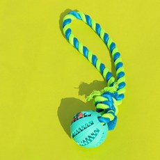 Sniffiz 小狗nozwalk拖船chutoi玩具, 薄荷球, 1個