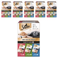 쉬바 1세 이상 고양이 리치 미니 주식파우치 3가지 세트, 해산물, 35g, 36개