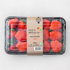 중화농협 GAP 대왕 설향 딸기, 600g, 1개