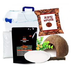 Rora Pet 寄居蟹飼養套組, 混合顏色