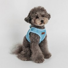 DING DONG PET 寵物基本款散步胸背帶, 天藍色