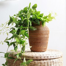 籐編花瓶, 單色