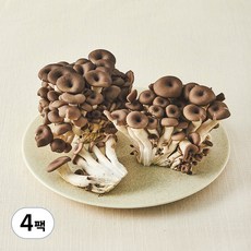 친환경 느타리버섯, 400g, 4팩