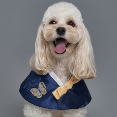 DOG-i 狗狗蝴蝶韓服披肩, 海軍藍, 1個