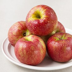 곰곰 양광 사과, 1.5kg, 1봉