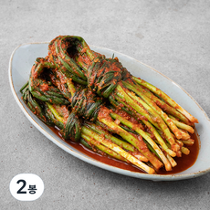 팽현숙 최양락의 맛있는 옛날 파김치, 1kg, 2봉