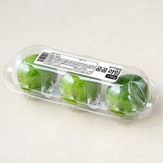 곰곰 라임, 210g, 1개