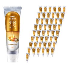 2080 진지발리스 프로폴리스 치약, 150g, 60개