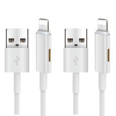 이탑 8핀 충전 음악 듀얼 케이블 X-010, 혼합색상, 2개