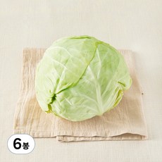 제주도 친환경 양배추, 1000g, 1개, 6봉