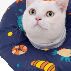 Dream For Pet Olivia寵物防舔圈 A05 L, 1個