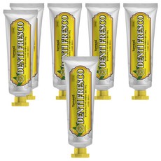 Tamsaa 口氣護理牙膏, 檸檬薄荷味, 100g, 6條