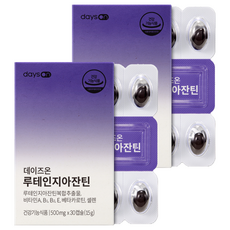 데이즈온 루테인지아잔틴 15g, 30정, 2개