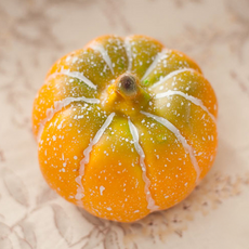 플라워트리 단호박 FOFDFT 모형, 옐로우