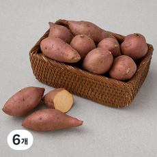 국내산 한입 호박고구마, 1.5kg, 6개
