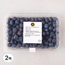 엠팍 미국산 블루베리, 310g, 2팩