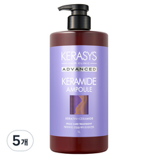 케라시스 케라마이드 반곱슬 손상모 클리닉 트리트먼트, 5개, 1L