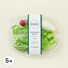 Greenery+ 엔다이브 & 레디쉬 샐러드믹스, 280g, 5개