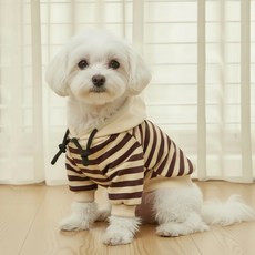 쁘띠도그 반려견 단가라 후드티, 원컬러, 1개