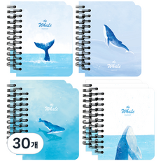 pinkfoot 1500鯨魚硬殼筆記本 80頁, 30個, 隨機出貨