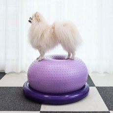 Dingdong Pet 寵物穩固平衡健身球, 1個, 紫色