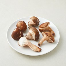 못생겨도 맛있는 참송이버섯, 1개, 250g