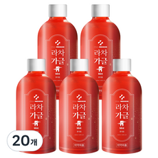 폴메디슨 휴대용 라차 가글 민트향, 20개, 102ml