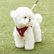 Bennys 寵物背心式胸背帶牽繩, 紅色, 1組