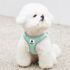 Bennys 寵物背心式胸背帶牽繩, 薄荷綠