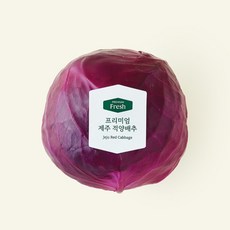 프리미엄 제주 적양배추, 700g, 1개입, 1개