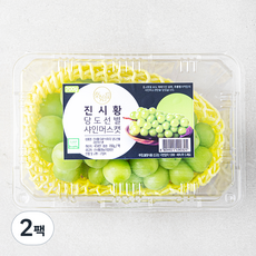 진시황 GAP 인증 비파괴당도선별 샤인머스켓, 2팩, 700g