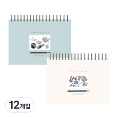 TOCTOC 我的繪圖筆記本 薄荷綠 + 象牙白 130g, 50張, 12入