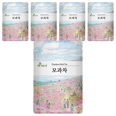 아름드레 삼각티백 모과차, 2g, 25개입, 5개