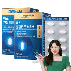 그린몬스터 맥스 관절튼튼 MSM, 90정, 2개