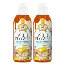 THE해담 프리미엄 자연 야생화 벌꿀, 1kg, 2개