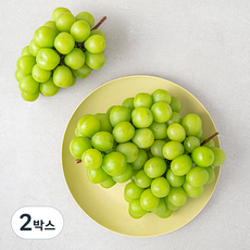 김천앤 GAP 인증 샤인머스캣 2~3입, 1.5kg, 2박스