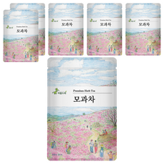 아름드레 삼각티백 모과차, 2g, 25개입, 6개