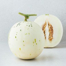곰곰 고당도 백자 멜론, 1.3kg, 1개