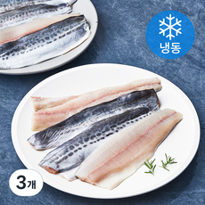 통영원 국내산 손질 삼치 (냉동), 900g, 3개