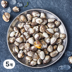 아라보감 산지직송 생물 새꼬막 (냉장), 5개, 1kg